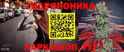 мдпв Нальчик